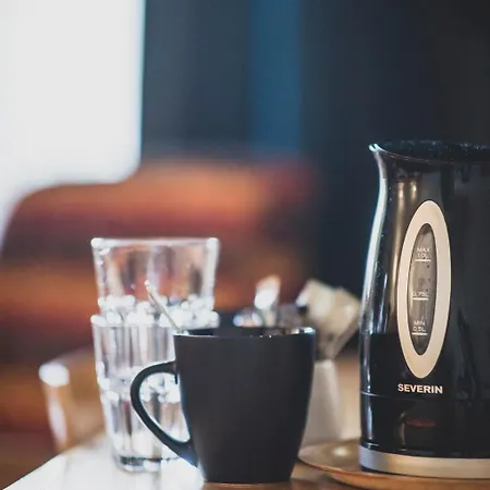 Hotel Levi Hotel Spa Levi