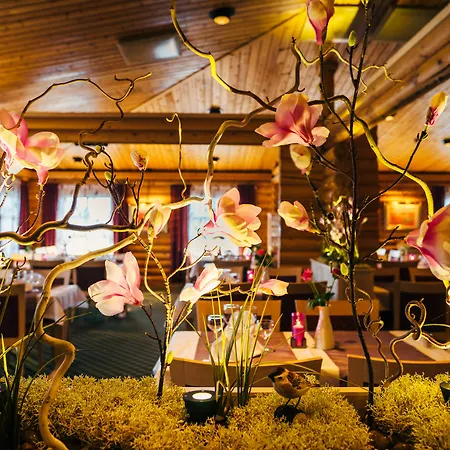 Levi Hotel Spa Szálloda 4*