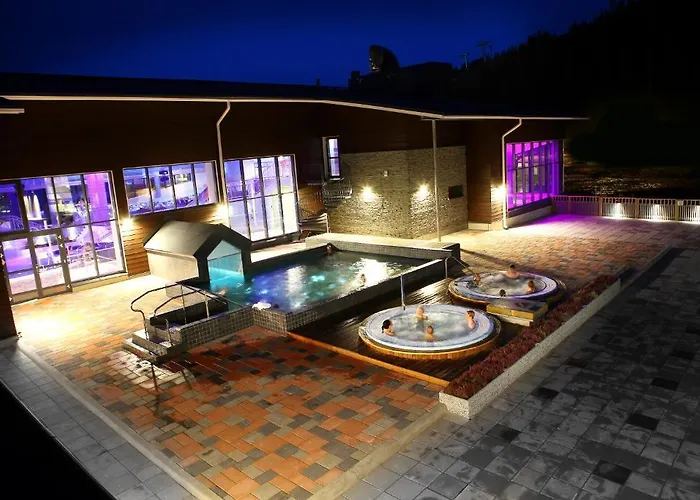 فندق سبا ليفي